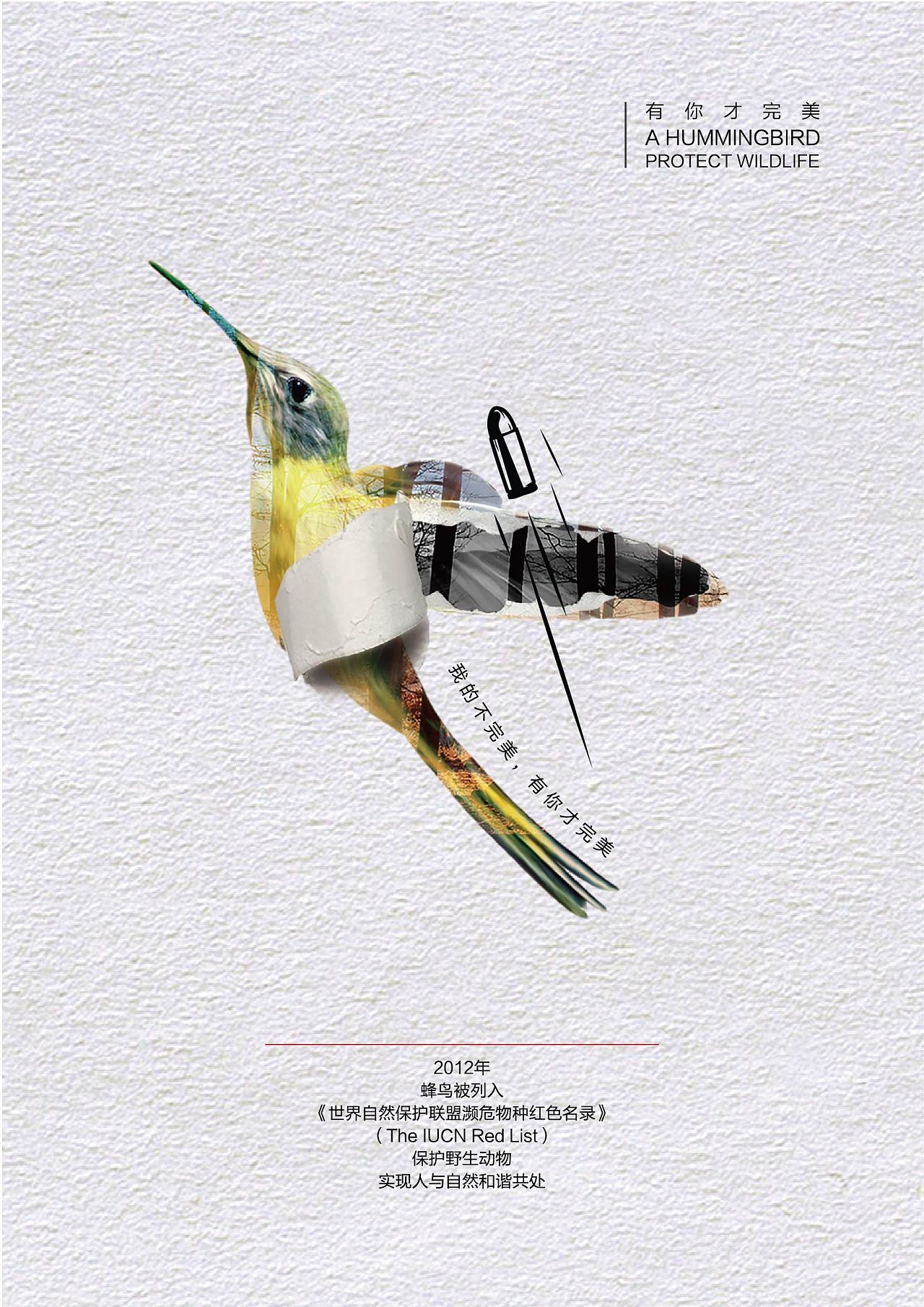 保護(hù)野生動物系列公益廣告設(shè)計